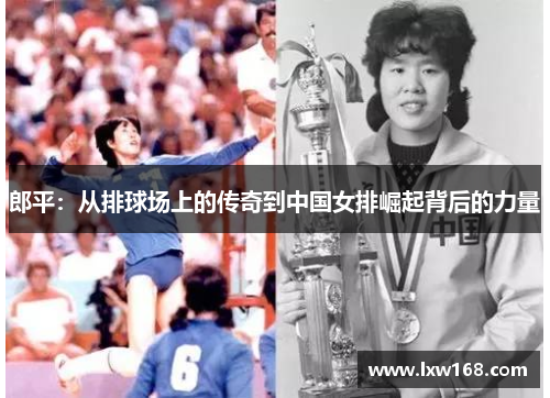 郎平：从排球场上的传奇到中国女排崛起背后的力量
