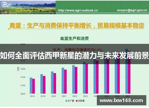 如何全面评估西甲新星的潜力与未来发展前景