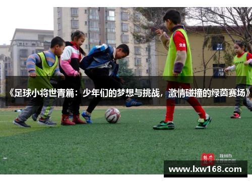 《足球小将世青篇：少年们的梦想与挑战，激情碰撞的绿茵赛场》