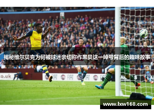 揭秘维尔贝克为何被球迷亲切称作黑贝这一绰号背后的趣味故事
